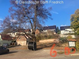 Blick auf freigelegtes Grundstück, Baum im Vordergrund, diverse Häuser am Rand und im Hintergrund