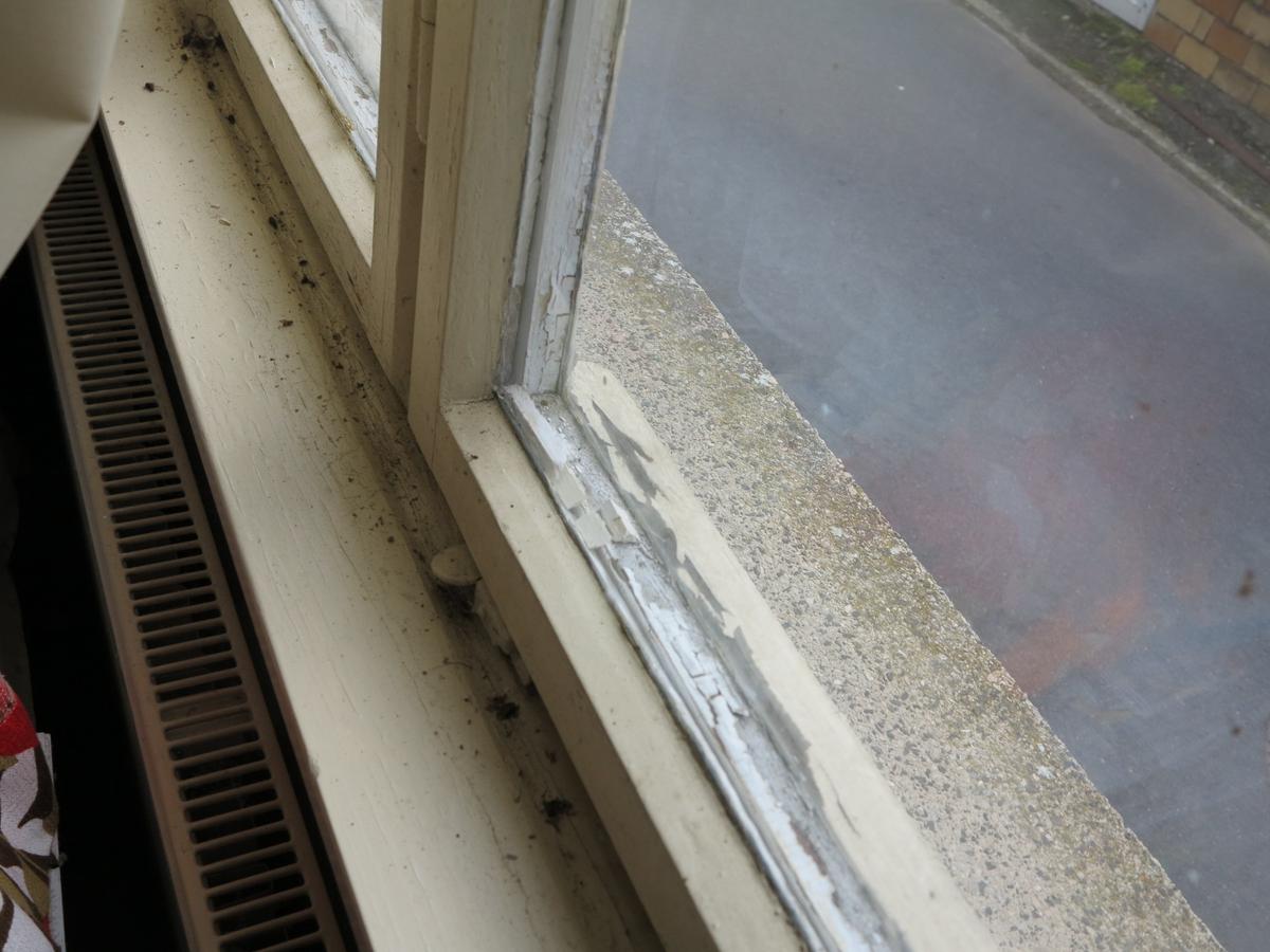 Detailaufnahme Holzfenster; Kitt löst sich stark; Lasur/Lack verschlissen