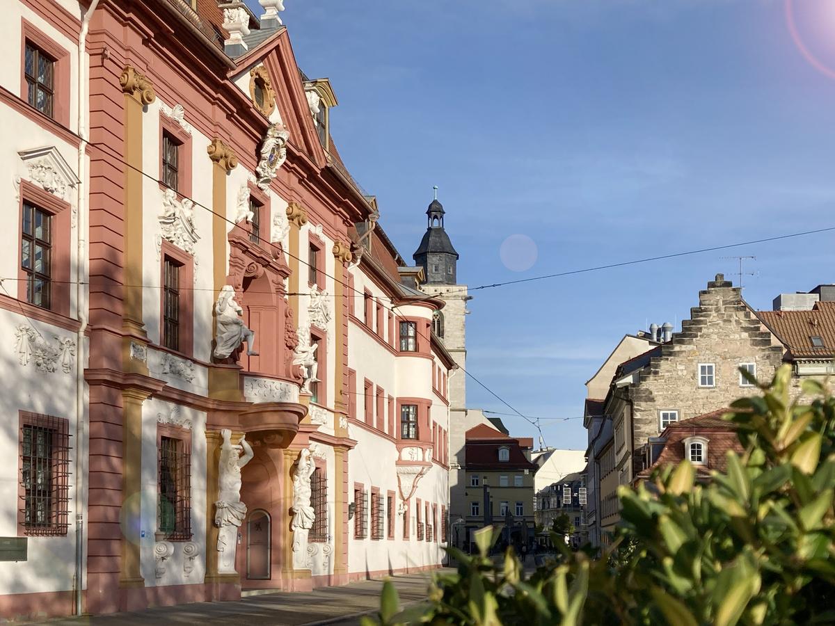 Das Patrizier-Giebelhaus zu sehen, dieses Mal schaut man in die Regierungsstraße und sieht rechts den Gebäudegiebel als Kontrast in Sandstein. Im Vordergrund rechts unten ist ein Buxbaum angeschnitten unscharf zu sehen.