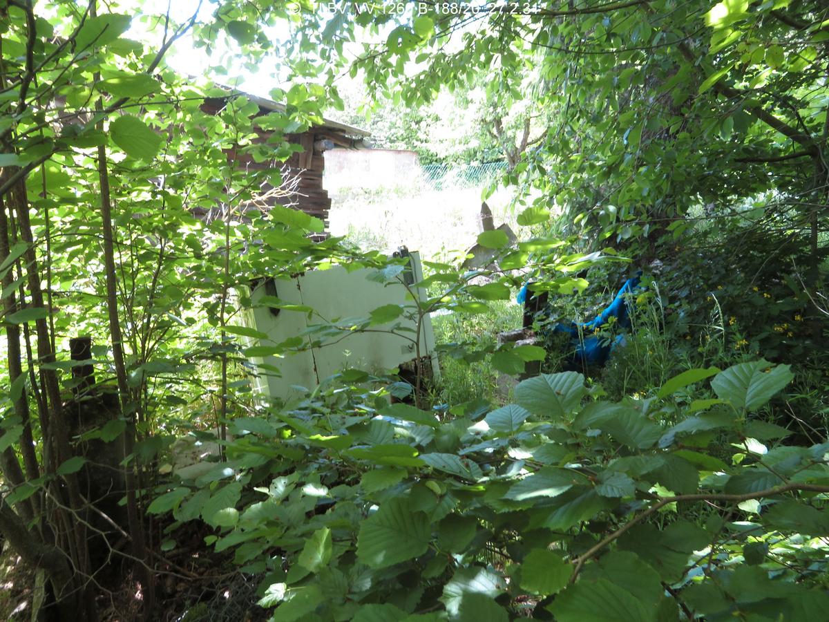 Blick durch Unterholz auf abgelagerten Müll