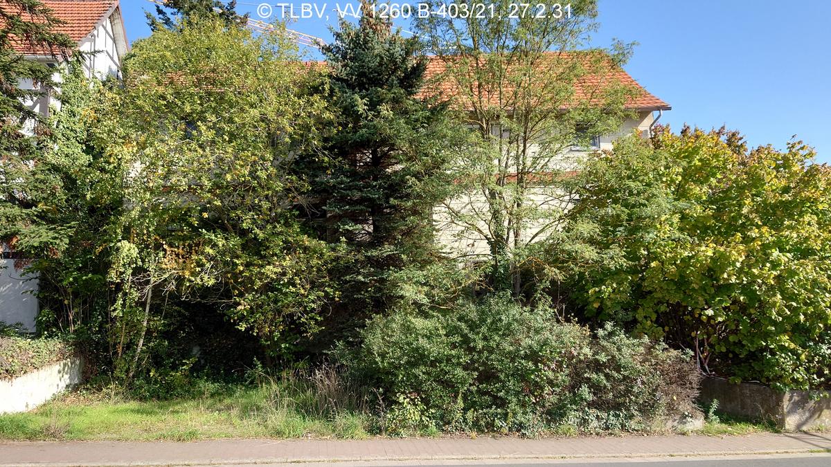 Straßenansicht, hauptsächlich ist der Grünaufwuchs zu sehen, im Hintergrund die Längsseite des Gebäudes