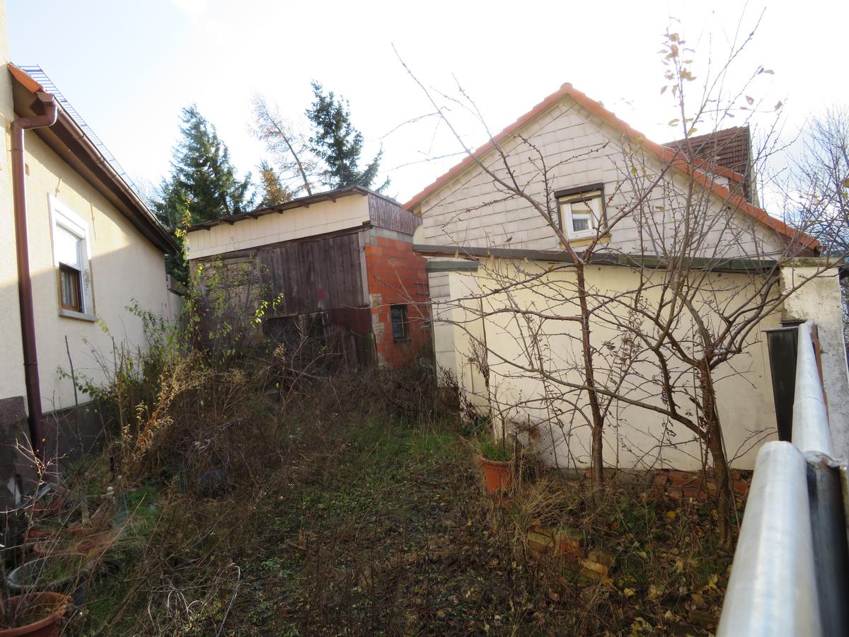 Blick auf verwilderten Garten und Nebengebäude