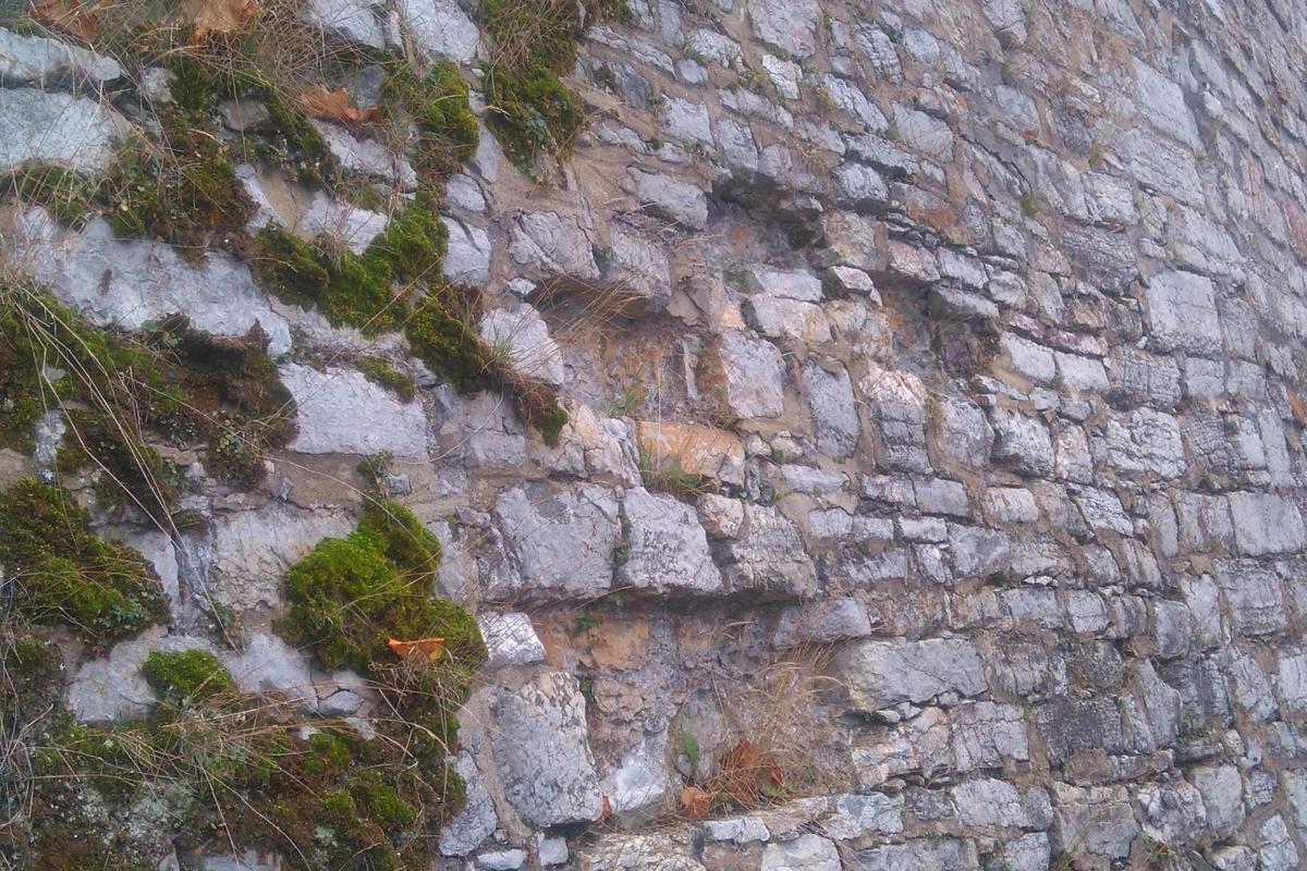 Abgebildet ist eine Natursteinmauer, auf der sich Moos festgesetzt hat. Einige Steine fehlen.