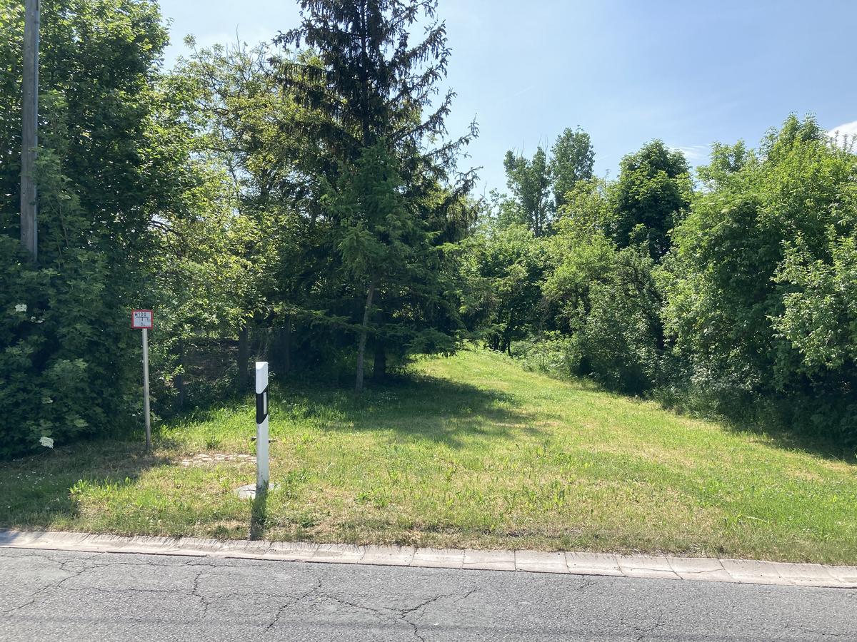 im Vordergrund die Straße mit Straßenpfosten und die Grünfläche mit Grünbewuchs im Hintergrund