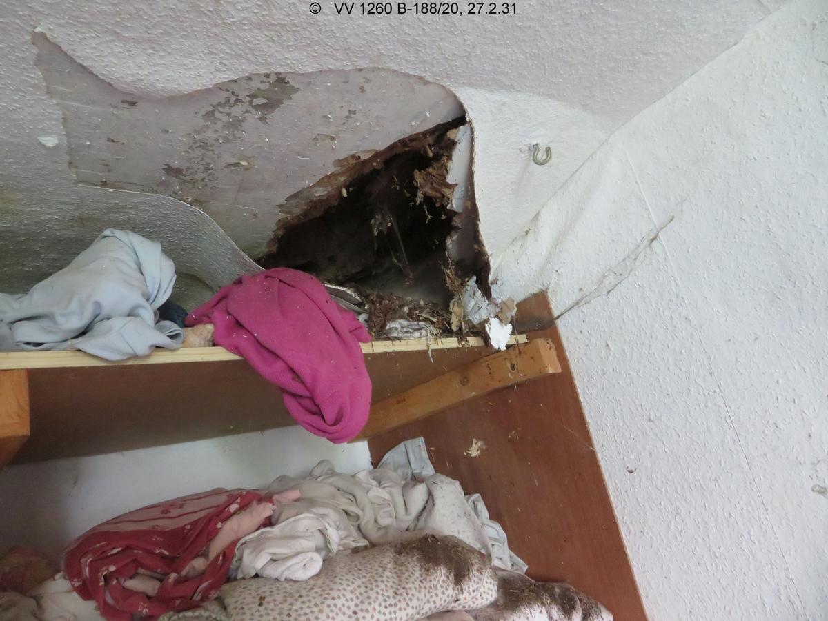 Feuchtigkeitsschaden an Decke mit Deckeneinbruch über einem Regal