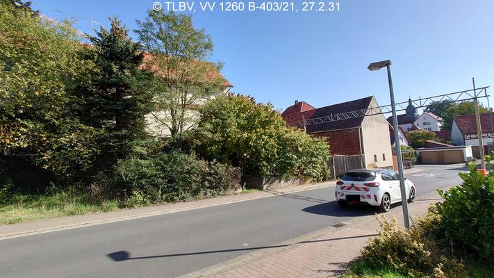 Ansicht des zugewachsenen Grundstücks von der gegenüberliegenden Straßenseite aus