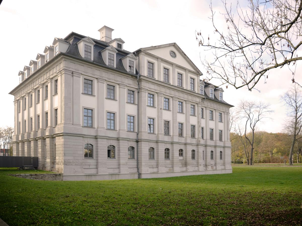 Nordostfassade des Barockschloss mit sichtbaren baulichen Anschluss des Neubaus an das Barockschloss. Rechts ist ein Baum angeschnitten, sein Stamm und seine Äste ragen in das Bild. Die Ostfassade wird von der Sonne beschienen. Grüne Wiese, im Hintergrund leichte Hügel und ein heiterer Himmel.