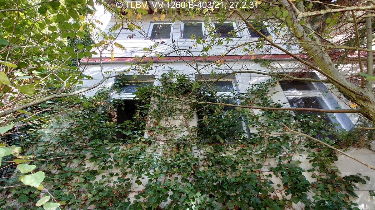 verkleidete Fassade mit Efeubewuchs