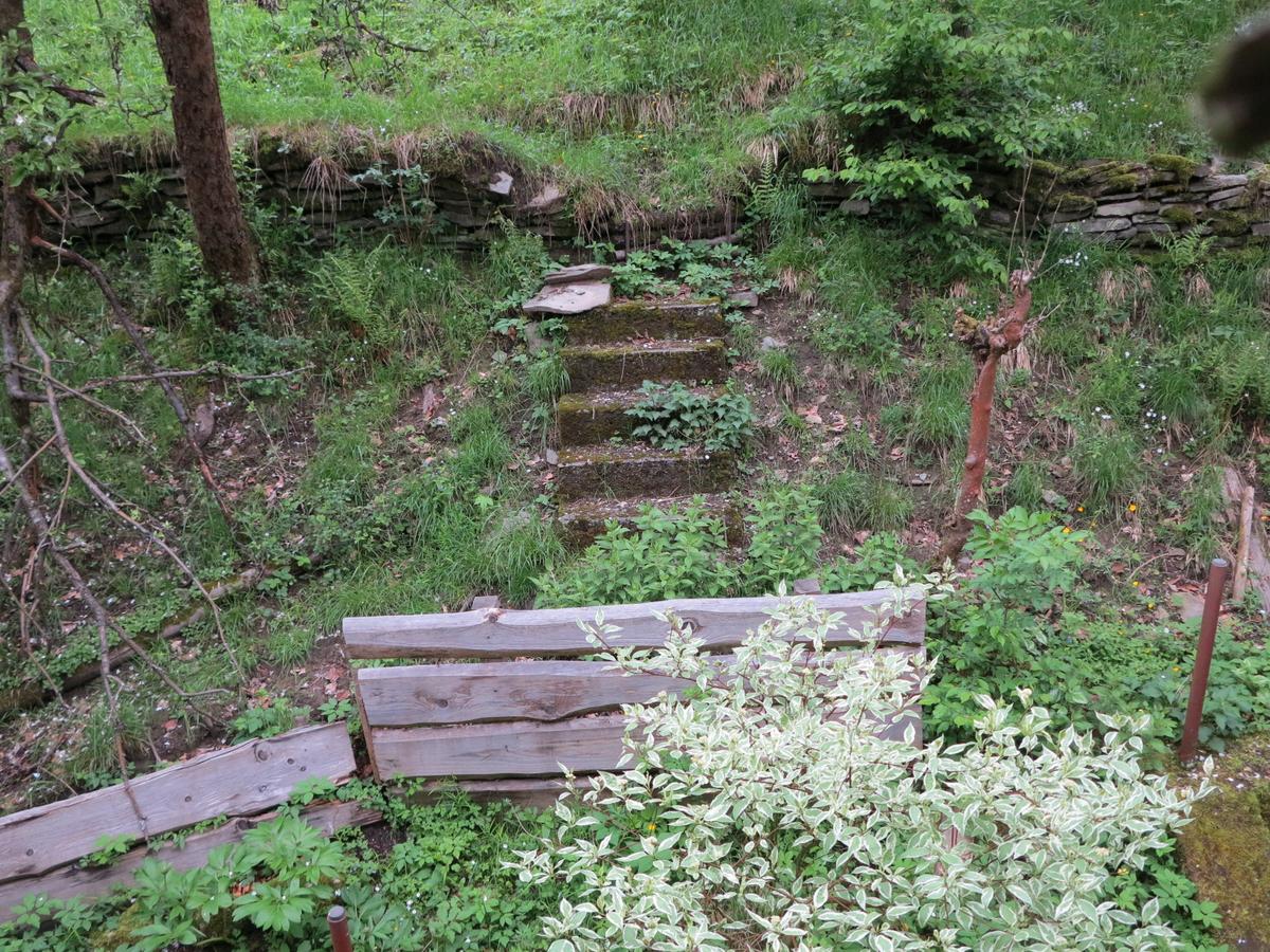 Blick hinter das Haus zum Hang. Hinter dem Haus ein kleiner ebener Bereich; 5 Steinstufen führen über eine teilweise eingestürzte, niedrige Stützmauer aus Naturstein