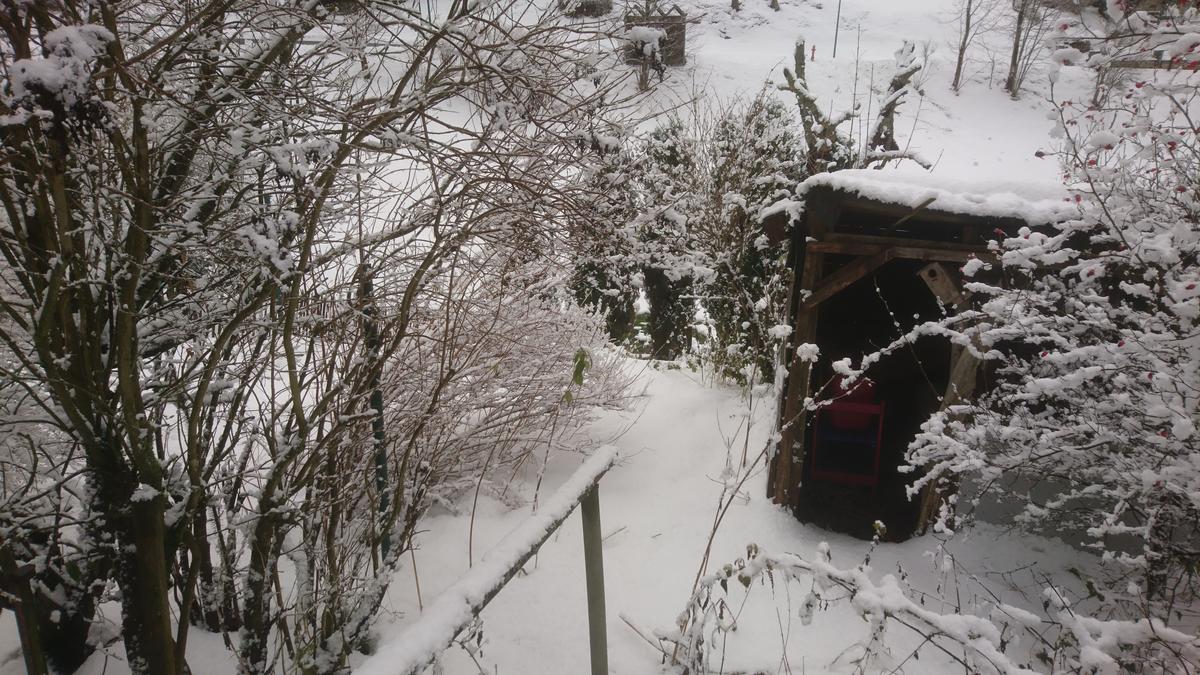 Blick durch verschneites Gebüsch auf Schuppen