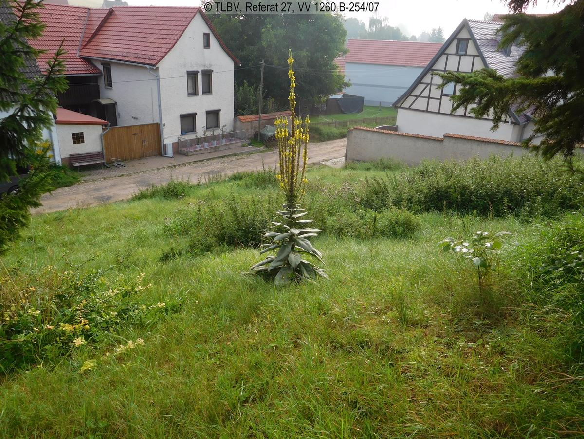 Blick von der oberen Seite auf das Grundstück bis zur Straße