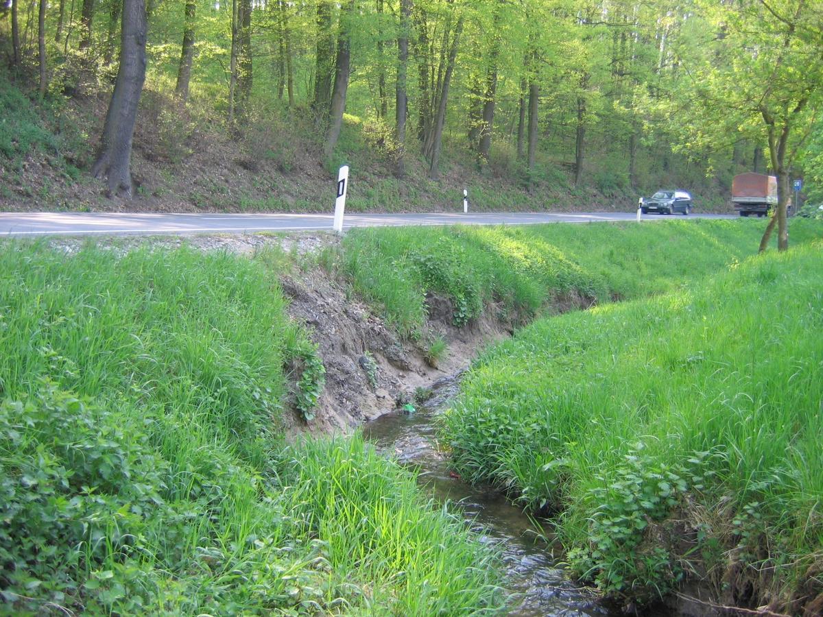 Der Görnitzbach an der B85 zwischen Teichel und dem Abzweig Großkochberg.