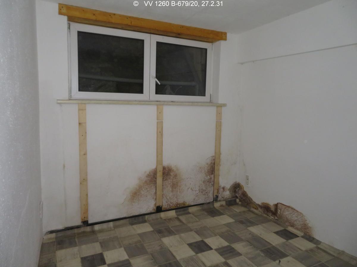 brauner Kellerschwamm in einem Raum mit zwei höherliegenden Fenstern